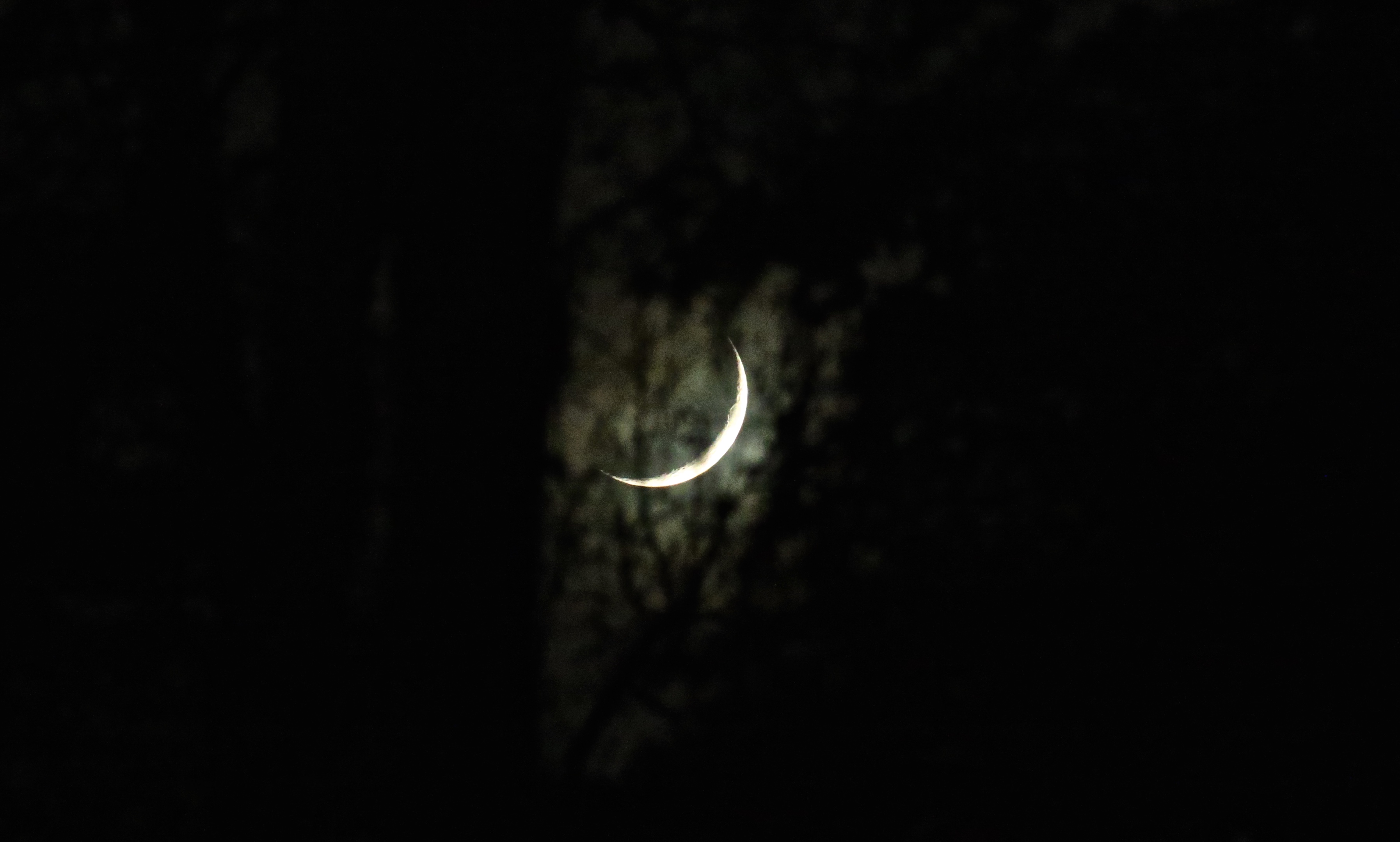 CRESCENT MOON » LAYNE FABLE CRESCENT MOON » LAYNE FABLE
