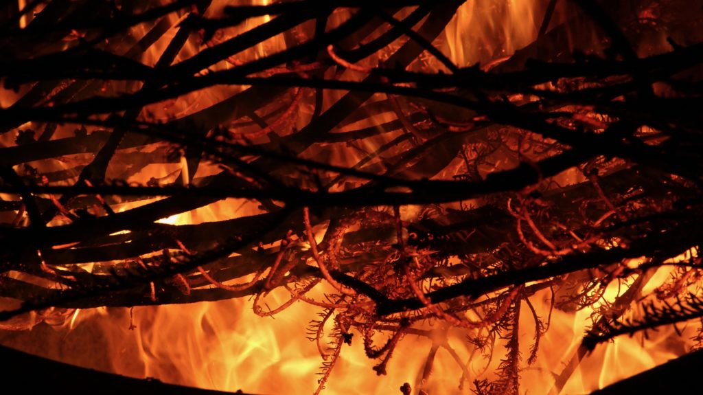 LIT THE CHRISTMAS TREE ON FIRE » LAYNE FABLE