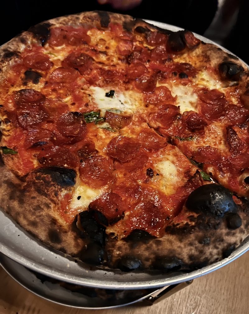 MEL'S NYC » LAYNE FABLE